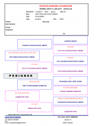 Pedigree Padre Krytof Sunshine celebration